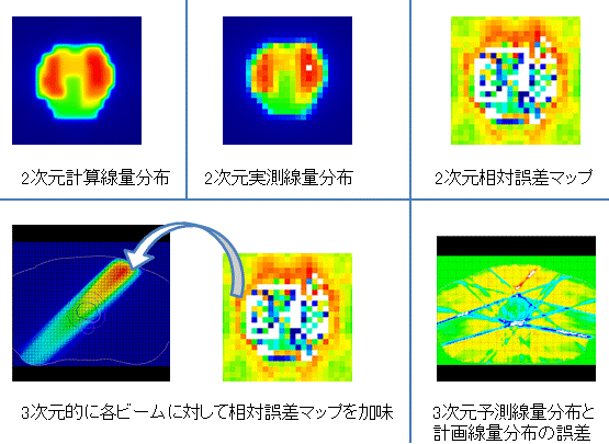 体内線量分布予測に関する研究